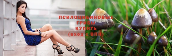 молекула духа Нязепетровск