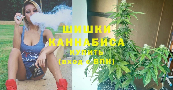 мдпв Нягань