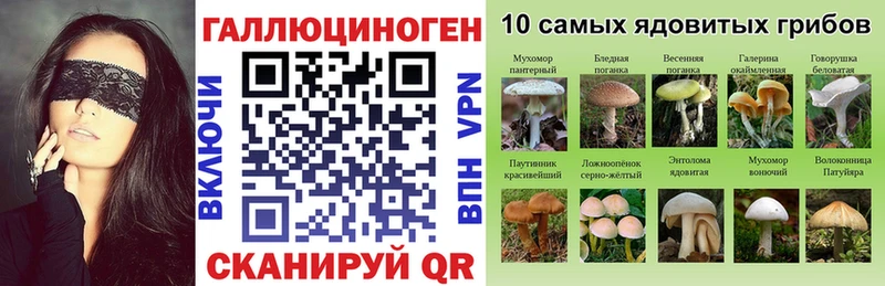 Купить закладки  Тула  Галлюциногенные грибы Magic Shrooms 