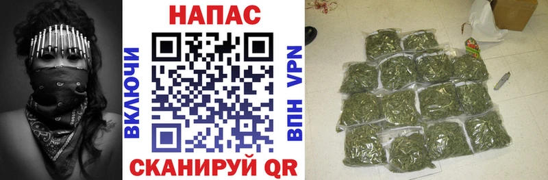 Конопля план  Купить где  Тула 